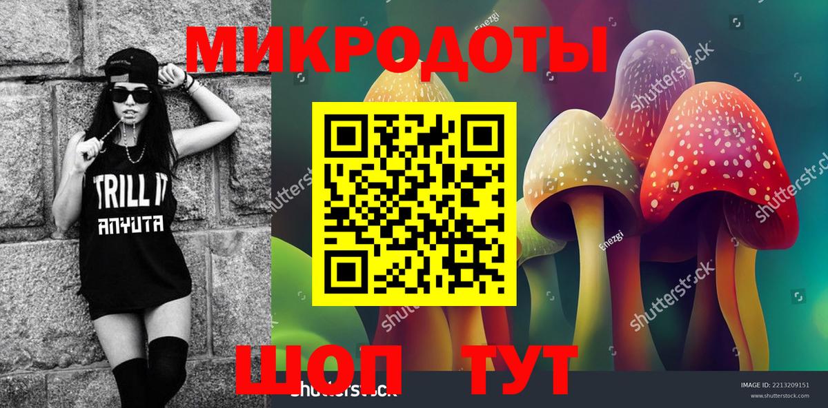 Галлюциногенные грибы Psilocybine cubensis  Псилоцибиновые грибы MAGIC MUSHROOMS  Вход с VPN  Асино 